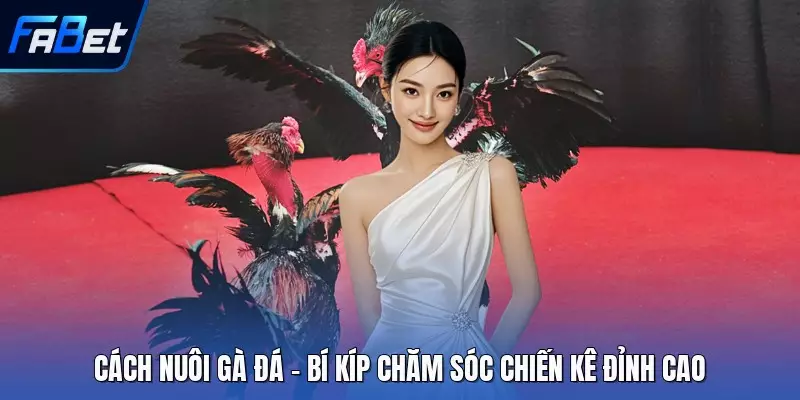 Cách Nuôi Gà Đá