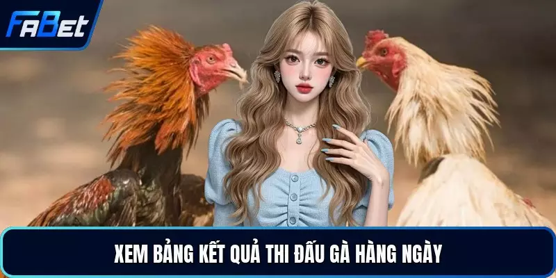 Xem bảng kết quả thi đấu gà hàng ngày