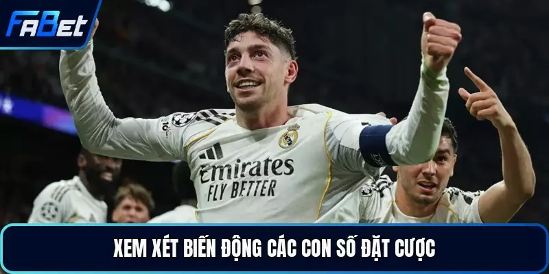 Xem xét biến động các con số đặt cược
